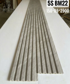 LAM 5 SÓNG BM22